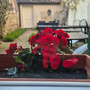 *** Bed & Breakfast 19 Borgo Cavour Italy